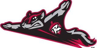 flying squirrels flying squirrels