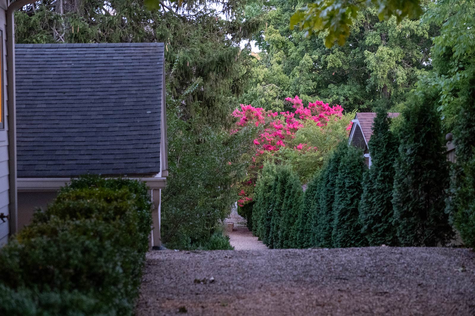 Maude and Bear exterior